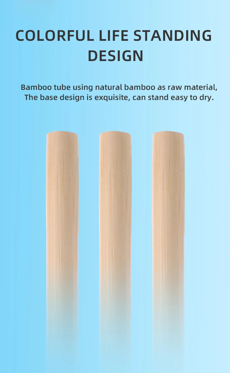 Brosse à dents en bambou biodégradable Matériau naturel respectueux de l'environnement Poils ultra denses et doux 10 000 Br